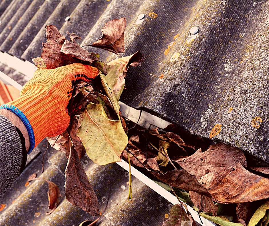 hand with orange glove cleaning leaves out of gutter