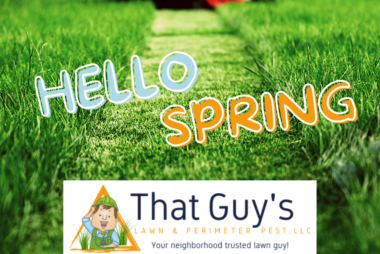 LAWN MOWER AND GRASS HELLO SPRING THAT GUY'S LAWN & PERIMETER PEST LLC