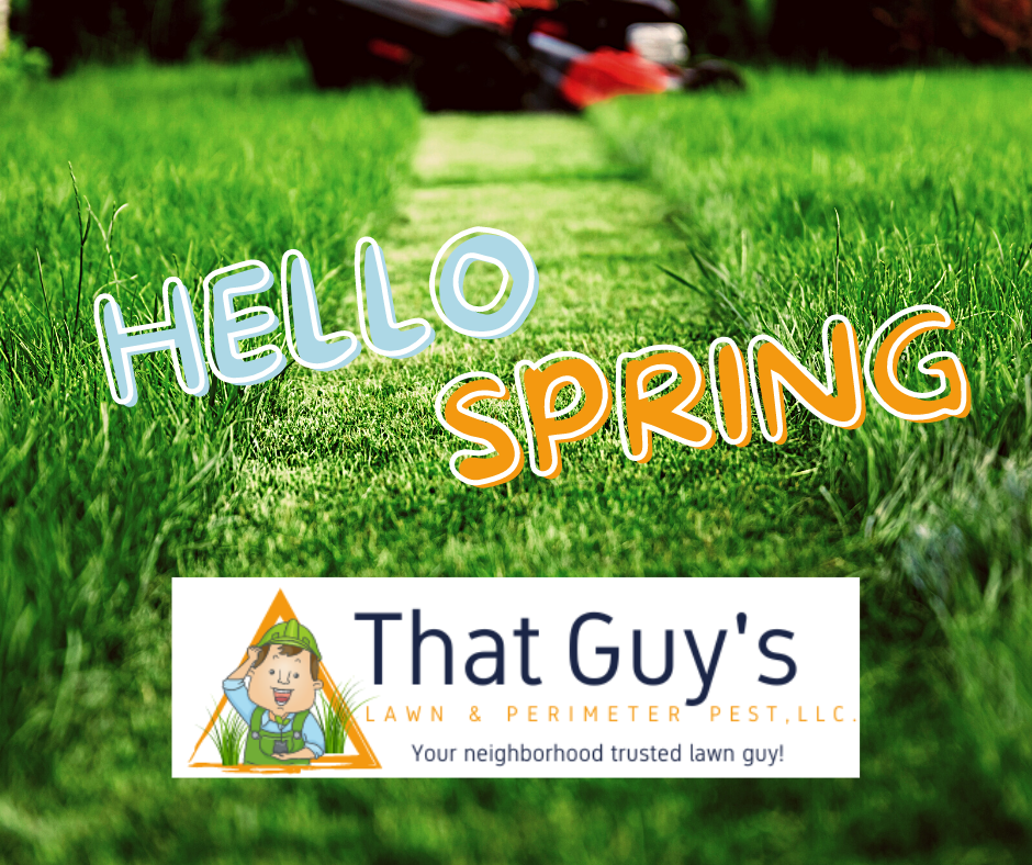 LAWN MOWER AND GRASS HELLO SPRING THAT GUY'S LAWN & PERIMETER PEST LLC