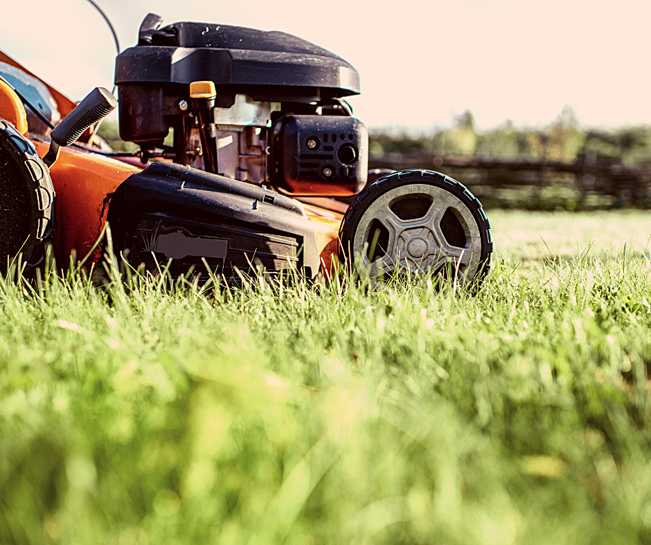 orange push mower mowing grass