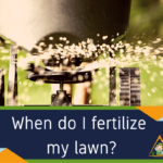 When do I fertilize my lawn? What you need to know.