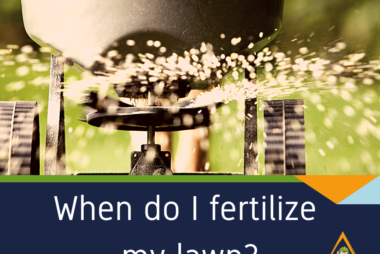 When do I fertilize my lawn? fertilizer spreader