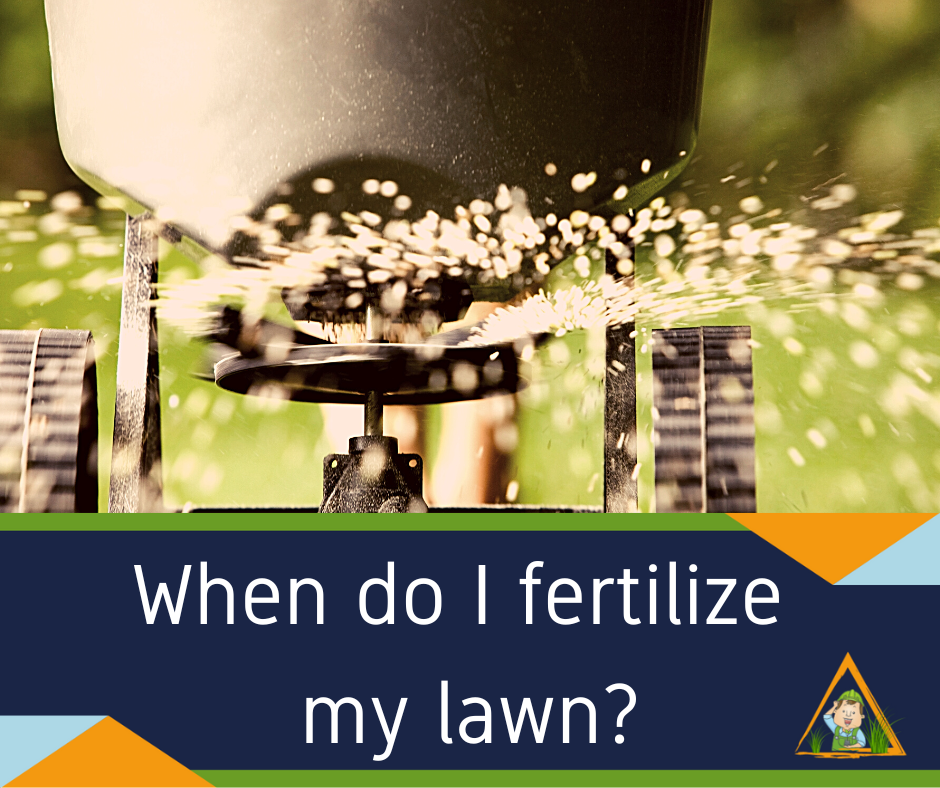 when do i fertilize my lawn? fertilizer spreader