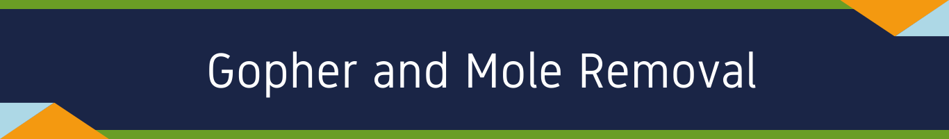 gopher and mole removal policy website bar