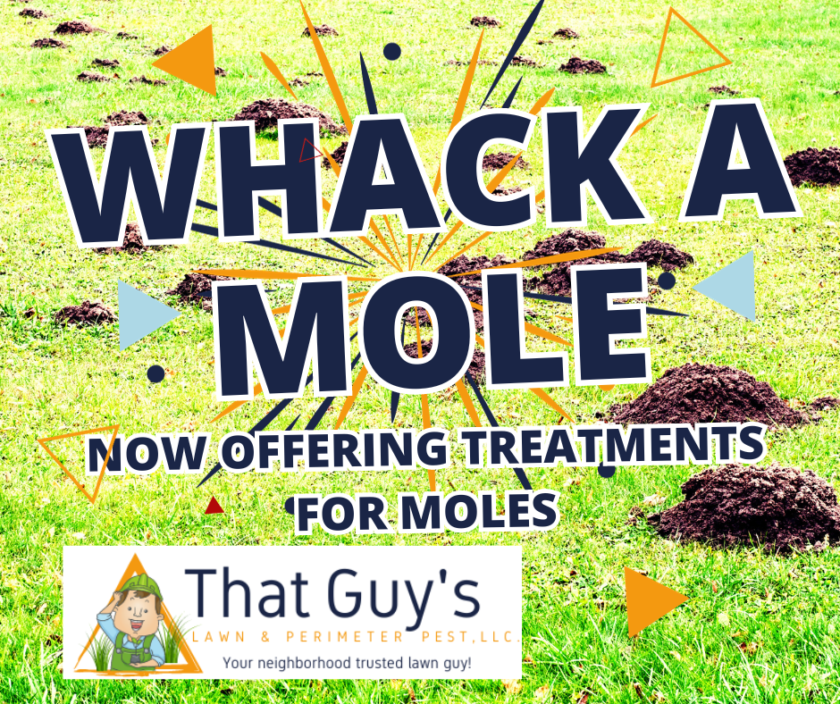 Moles, Voles, Gophers