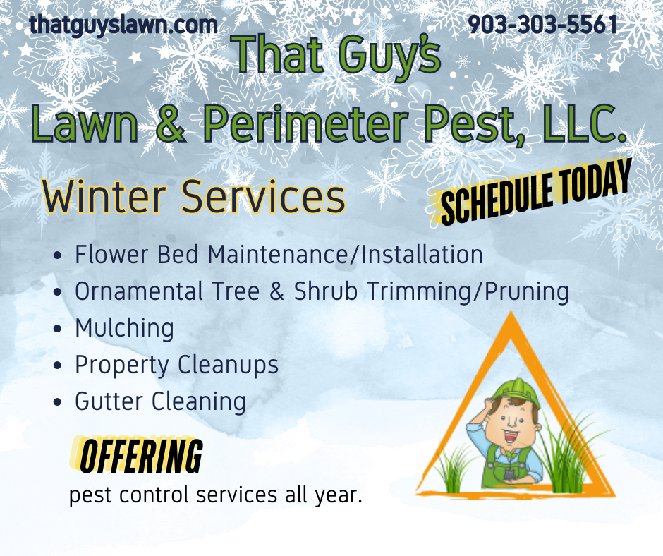 That Guy's Winter Services Cleanup Mulching Gutter Cleaning Flower Bed Maintenance Mineola Texas