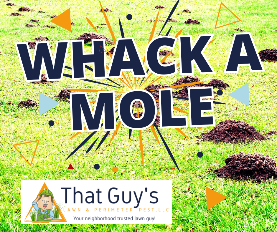 Whack a Mole